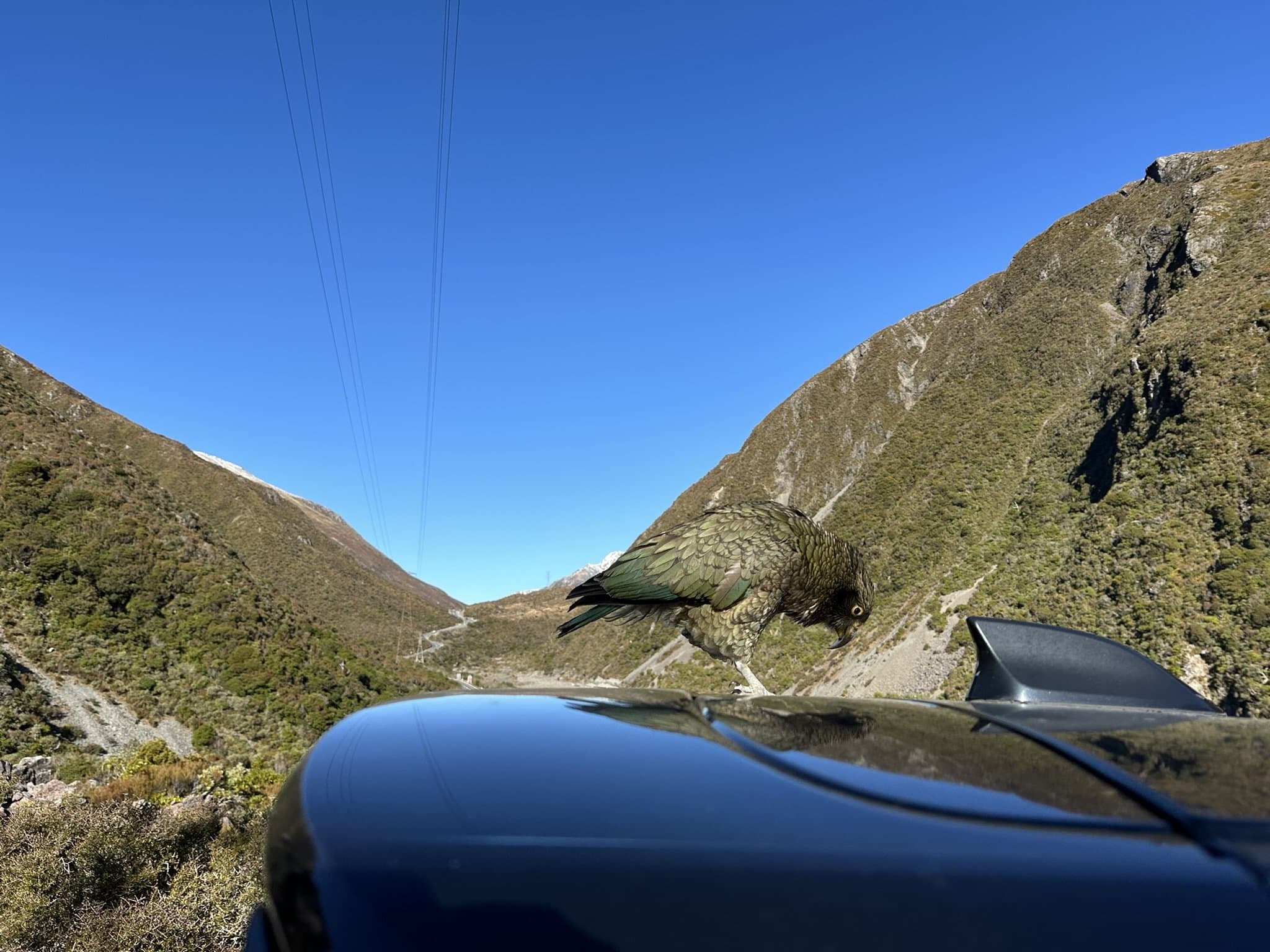View through a car windscreen of a steep mountain valley road climbing toward Arthur's Pass