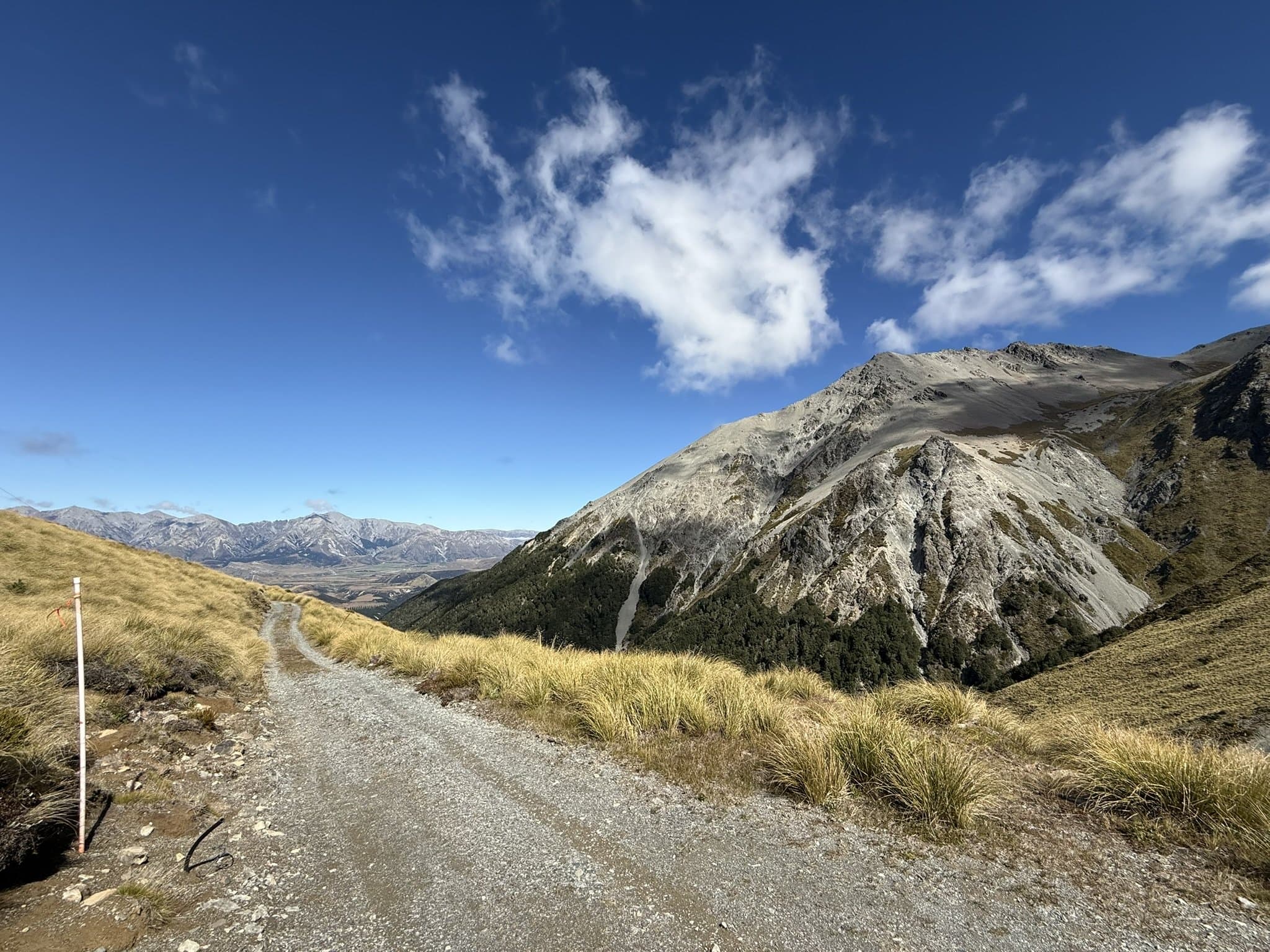 A gravel road winding through golden tussock toward a high peak in the Canterbury high country