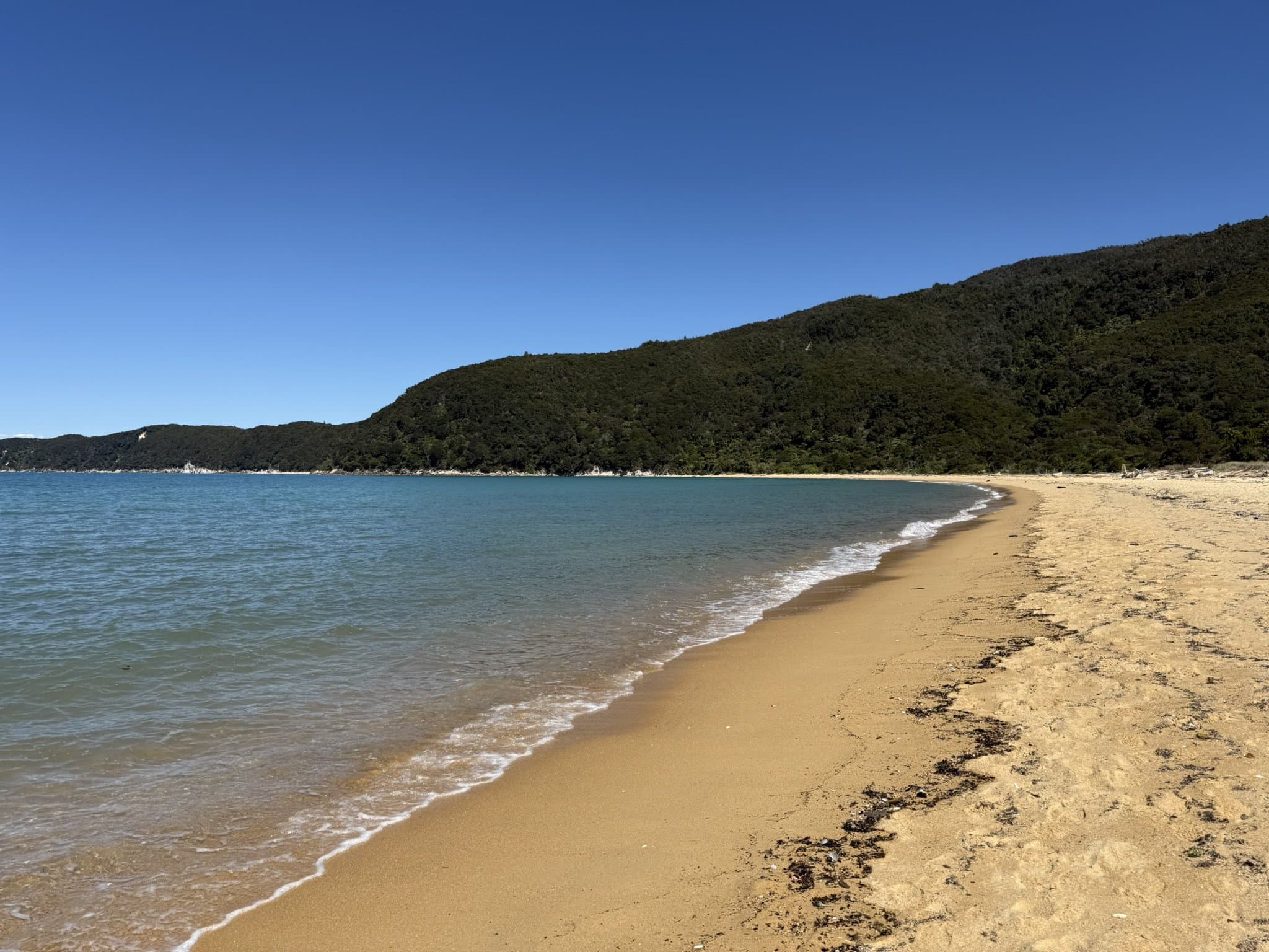 A curving golden-sand beach backed by native forest meeting clear turquoise water on the Abel Tasman coast