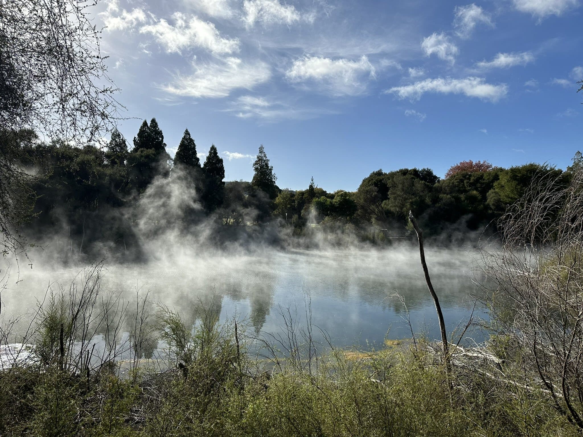 Steam rising off a geothermal lake surrounded by native bush at Rotorua